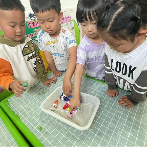 科学区观察记录——高唐县第一实验幼儿园