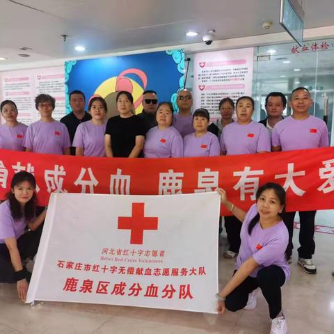 “捐献成分血，鹿泉有大爱”——鹿泉区第19次集体捐献成分血