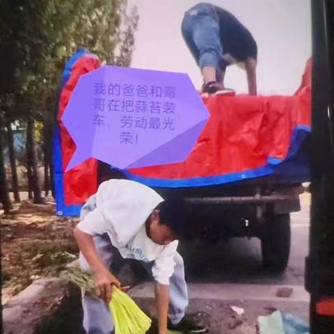 小小镜头，大大能量—三年级假期实践活动