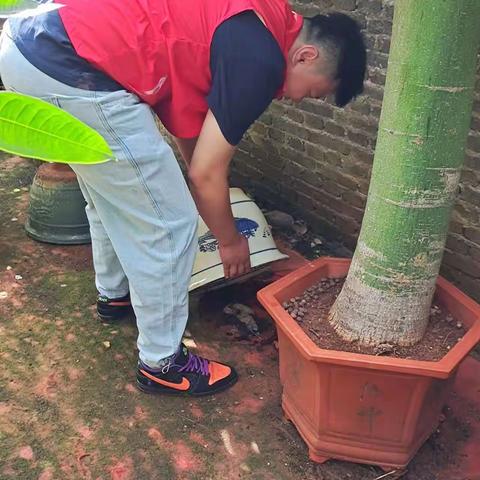 9月主题教育志愿活动_爱国卫生运动