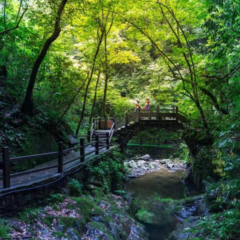 恩施坪坝营康养谷——共享26℃的夏天，开启避暑旅居新时代！