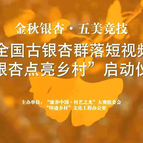 金秋银杏点亮千村万寨，全国短视频大赛开启寻“金”之旅！