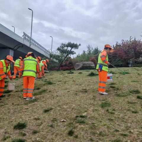 “净”待新颜，共筑美好家园——大冲洗大擦洗活动进行时