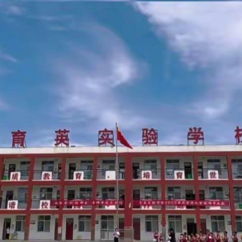 “书香浸润校园，阅读引领成长”一柳屯镇育英实验学校语文整本书阅读教学活动