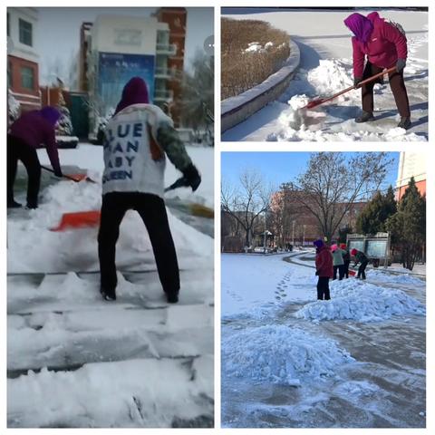 冬日里的温暖行动 扫雪进行时