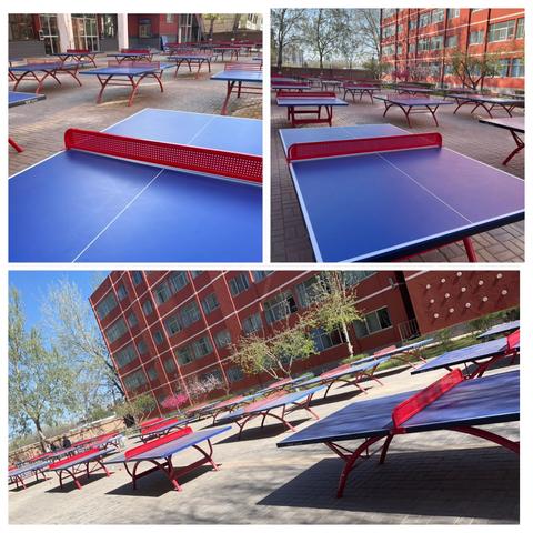 学校校园增添新设施与绿化补种剪修，打造更优育人环境