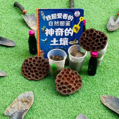 Apple class 第二周周报 好玩儿的泥土✨