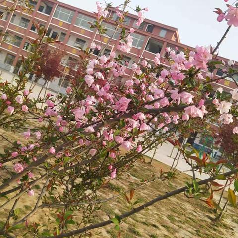木兰镇营廓小学2023年暑假放假通知及温馨提示