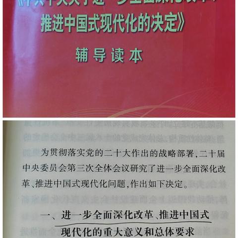 深学全会精神，争当高速先锋—鲅鱼圈管理站党支部开展主题党日活动