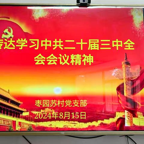 枣园苏村党支部开展“学习二十届三中全会精神”主题党日活动