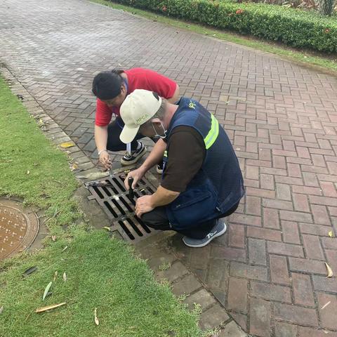 文昌市建成区病媒生物防制效果调研