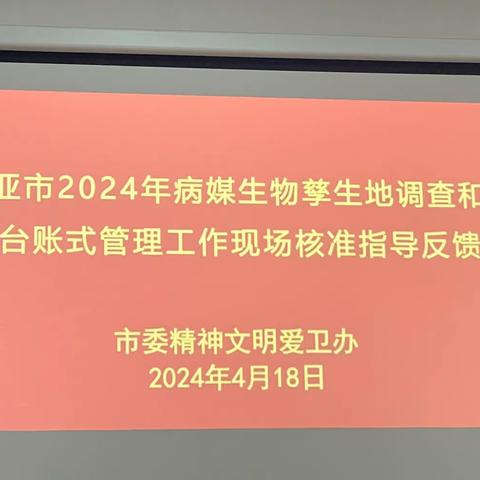 三亚市蚊虫孳生地调查和建立档案台账工作调查