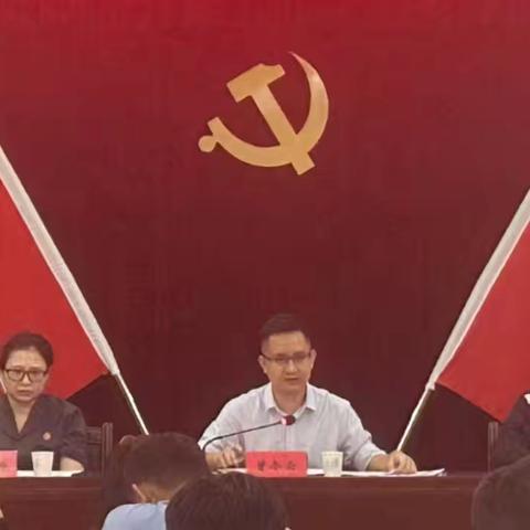 新龙镇召开2024年12月政法工作例会