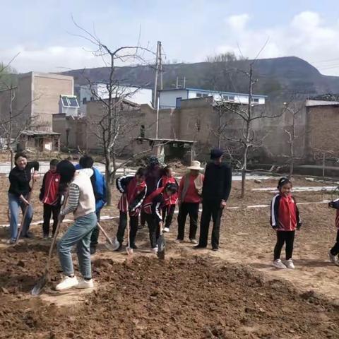 趣种植·悦劳动·乐生长——八里铺镇廿铺小学开展阳光种植园实践活动