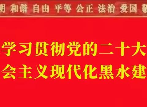 龙坝乡坚持党建引领“三坚持三大员”专项行动暨推进每季度1次村民大会