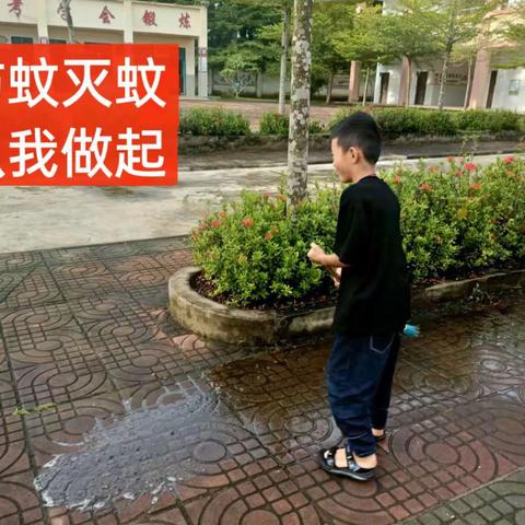 清洁校园   灭蚊防蚊——儋州市八一金川第三小学灭蚊周活动