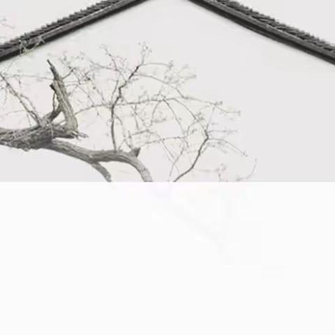 七彩德育｜传统文化润童心  研学实践助成长 ——记合肥市琥珀名城小学教育集团包公分校三年级研学旅行