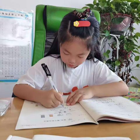 奇家小学   二年级143班 易天美 暑假生活记录