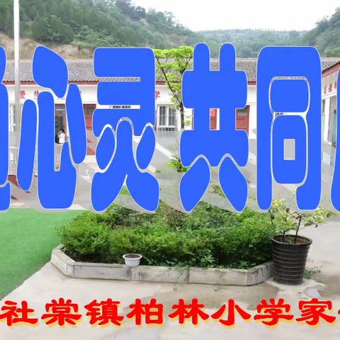 柏林小学家长会总结