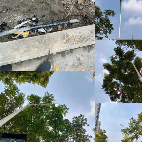 市政中心每周工作情况