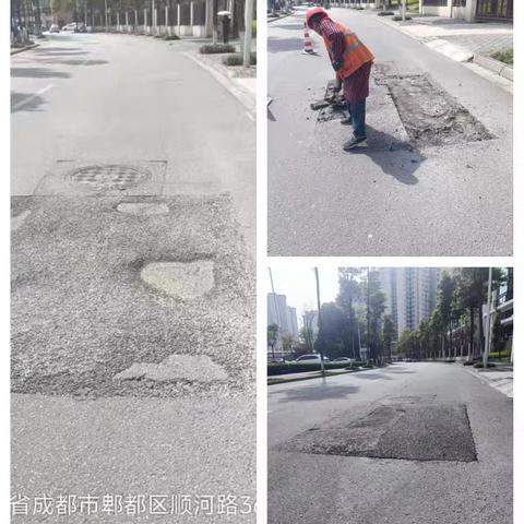市政中心每周工作情况