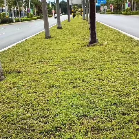 2024年6月份滨海新区滨海二道月验收工作汇报