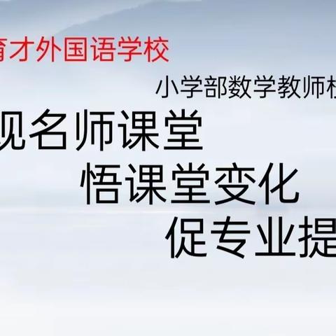 学习，我们一直在路上——育才外国语学校小学部数学教师校本培训