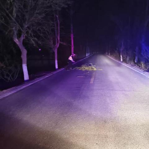 石柱中队积极应对大风恶劣天气