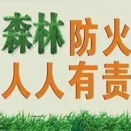 勐撒镇中心校森林草原防火安全知识宣传