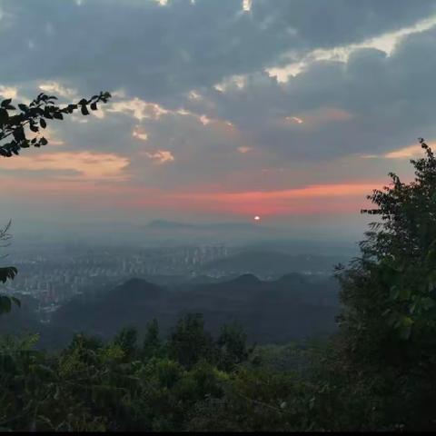 书香源托管（管仲小学 校区 十六小学 校区）研学旅行开始啦！