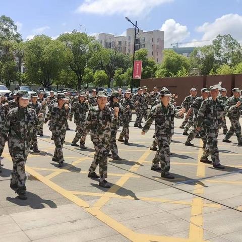 青舟启航 |青春淬炼展锋芒  ﻿研学绘智启新程