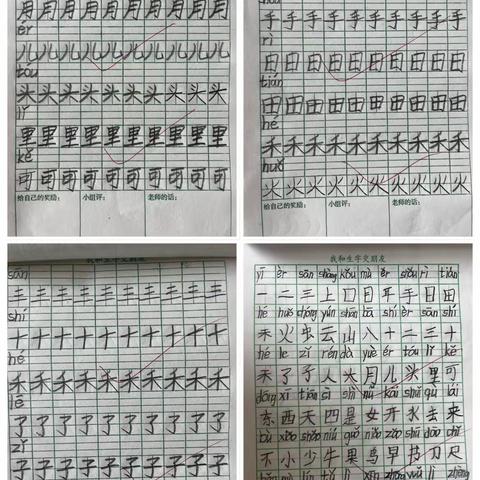 智趣快乐过寒假  “语”你同行共成长——沂水县第八实验小学一二年级语文寒假作业展示