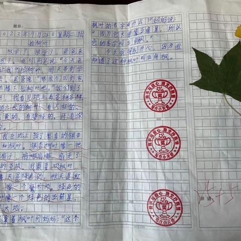 瞧，快乐的秋叶行