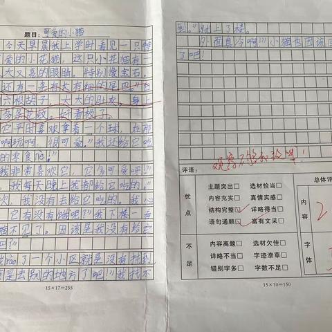 三五班第五单元习作：《我眼中的缤纷世界》三星和二星作品