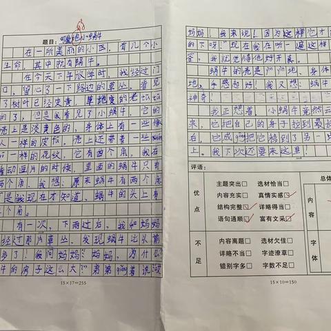 三五班第五单元习作：《我眼中的缤纷世界》五星和四星作品