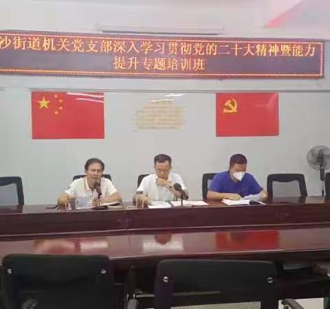 白沙街道举办2023年党员深入学习贯彻党的二十大精神暨能力提升专题培训班