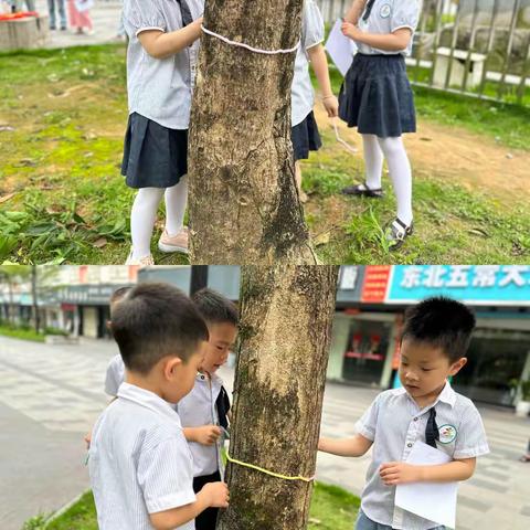 长兴城实验幼儿园（大三班）第十一周日常活动