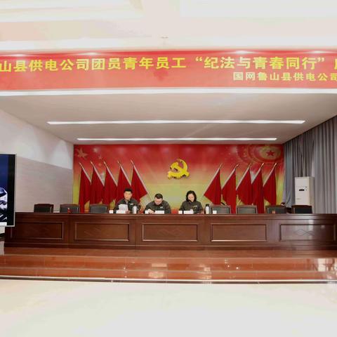 公司召开“纪法与青春同行”青年员工座谈会