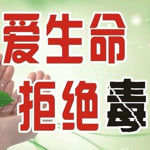 拒绝毒品，乐享长安——哑柏镇六屯小学开展禁毒教育系列活动