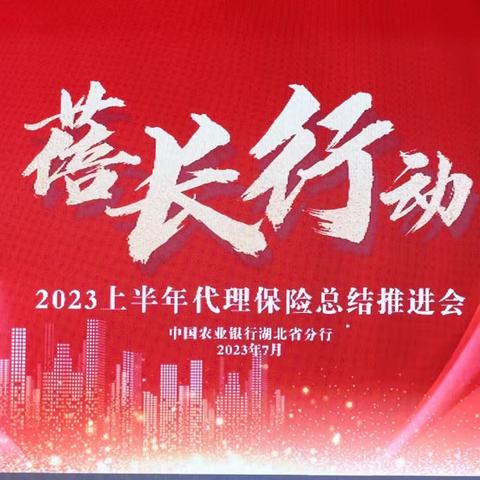 湖北分行召开2023 年上半年代理保险“蓓长行动”总结推进会