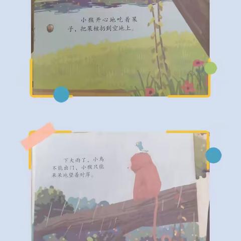 百乐幼儿园中一班第十八周教学反馈