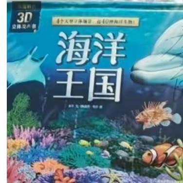 “奇妙的海洋世界”——海豚班