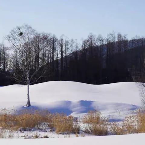 大雪 | 又是一年寒冬至