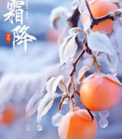 好柿成“霜”，喜从天“降” ——城北幼儿园二十四节气之“霜降”主题活动