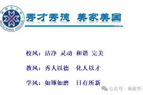 “探寻先秦栈道，尽览蜀道变迁”——麻柳小学2024年春季研学实践活动