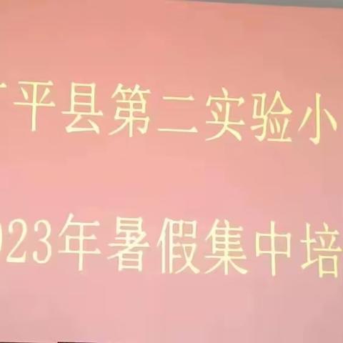 初秋聚首共培训      行稳致远再提升——记广平县第二实验小学暑期教师培训