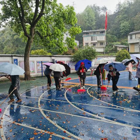 记一次雨中的劳动课