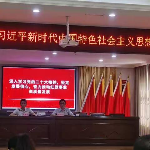 红旗镇苏寻三村党支部开展学习党的二十大精神研讨会