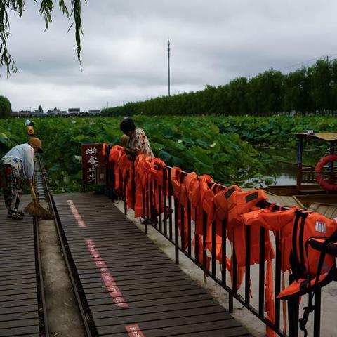 清晨，踏着碎石路，欣赏满园荷花，闻着淡淡的花香，顿时把一路的旅途辛苦消失得无影无踪，我爱你平原池