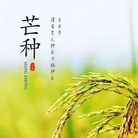 【拉弗尔幼儿园】节气里的孩子—芒种🌾